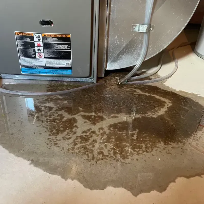 Appliance Leak Cleanup in New Burlington, OH